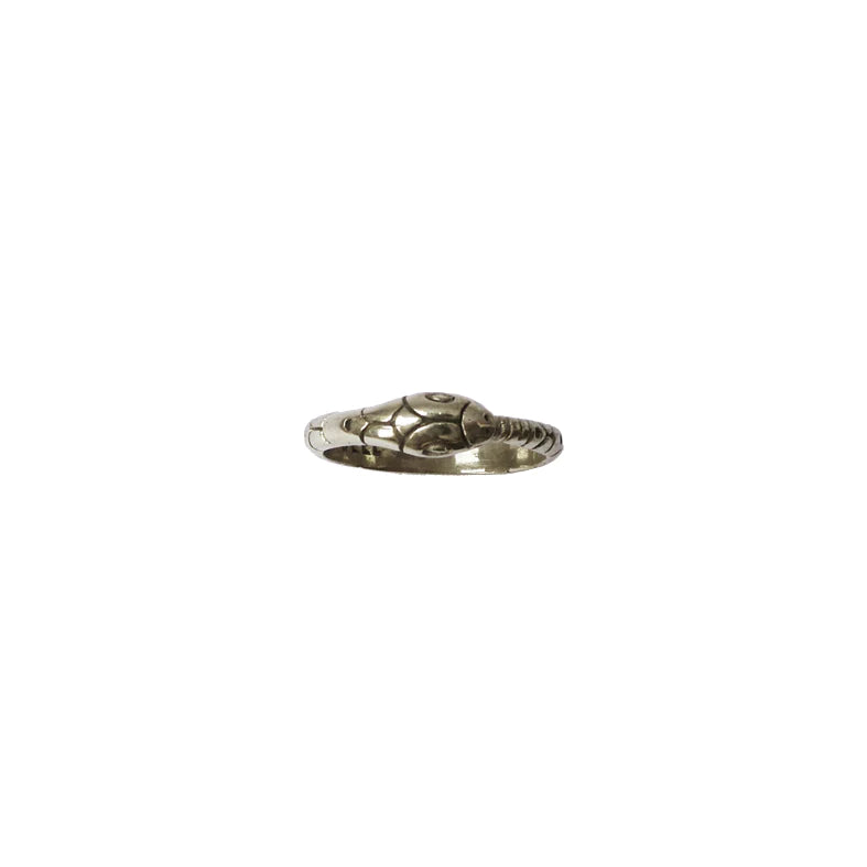 Eternal Serpent Ring: Silver