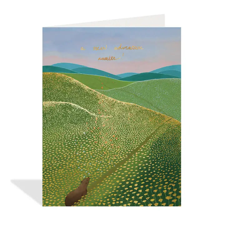 New Adventure Bear | Greeting Cards