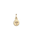 Zodiac Icon Charms