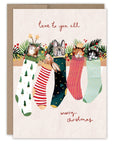 Animals In Stockings Boxed Holiday Cards - Set of 10