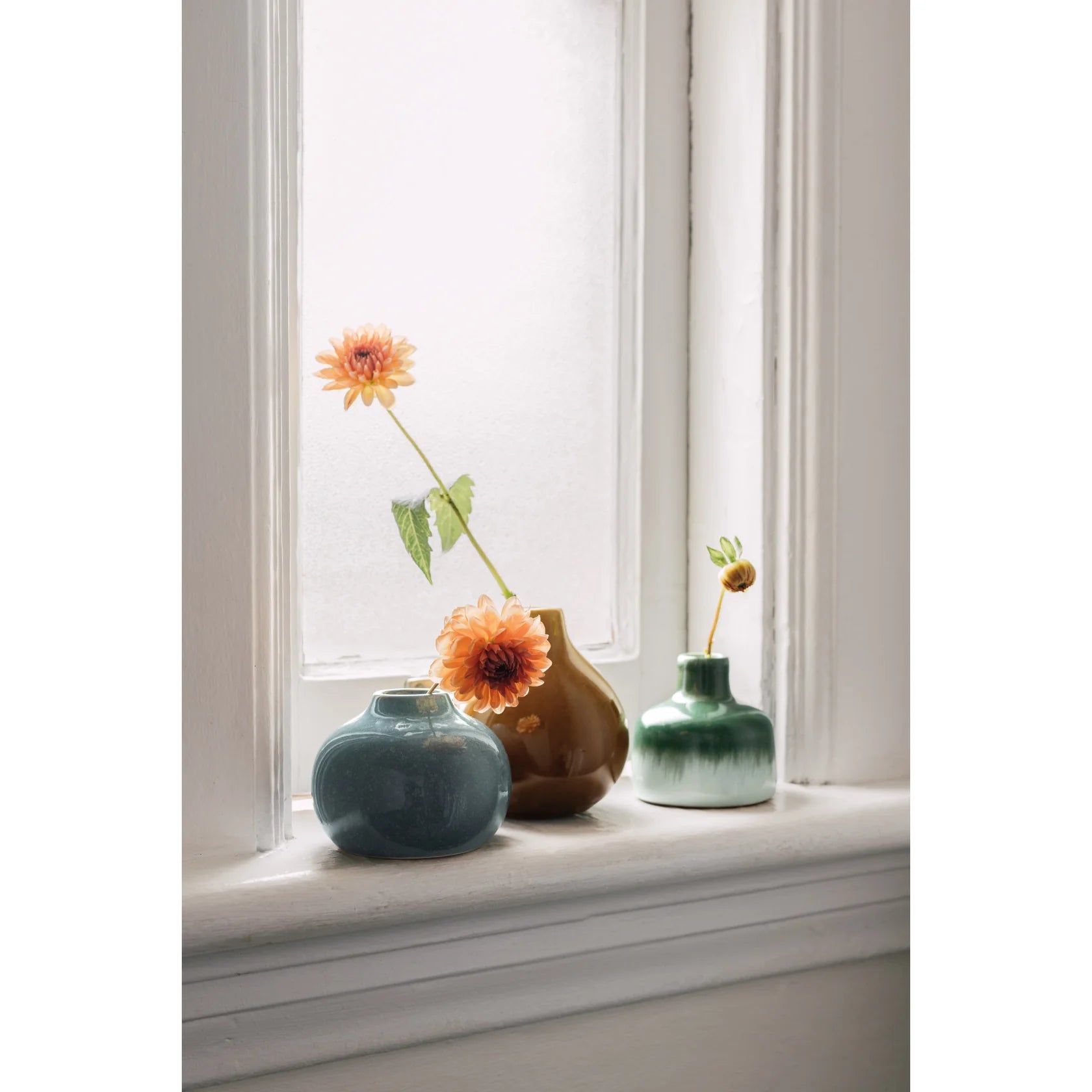 Fir Bud Vase