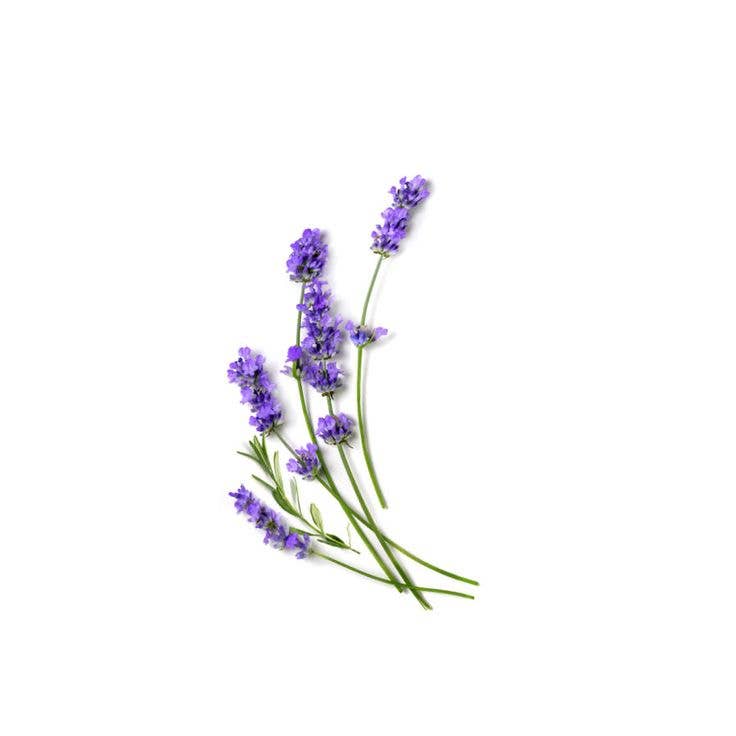 Pocket Hand Sanitizer | Lavender Eucalyptus
