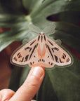 Pink Tiger Moth Sticker