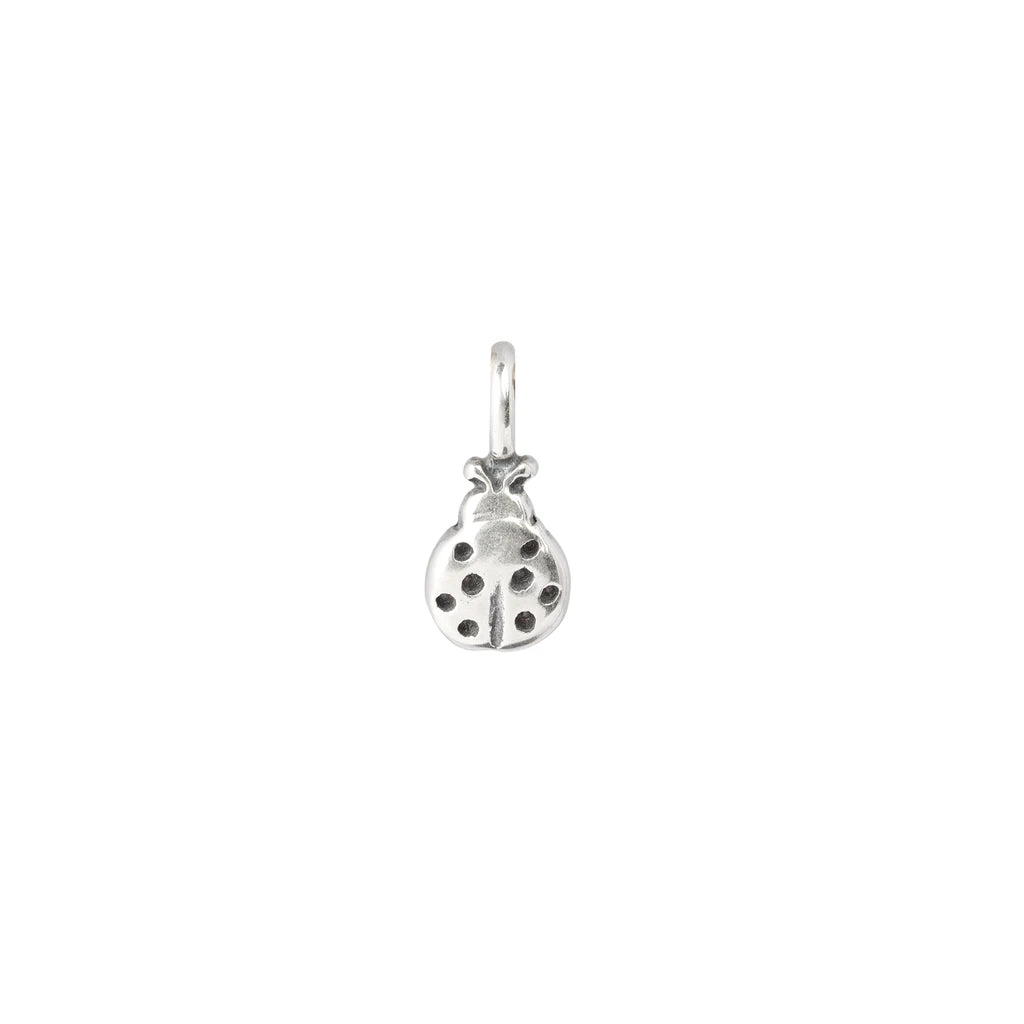 Ladybug Charm