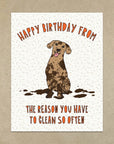 Messy Dog Birthday | Greeting Card