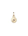 Zodiac Icon Charms