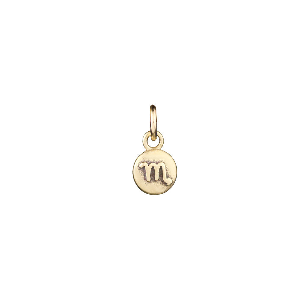 Zodiac Icon Charms
