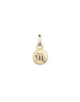 Zodiac Icon Charms