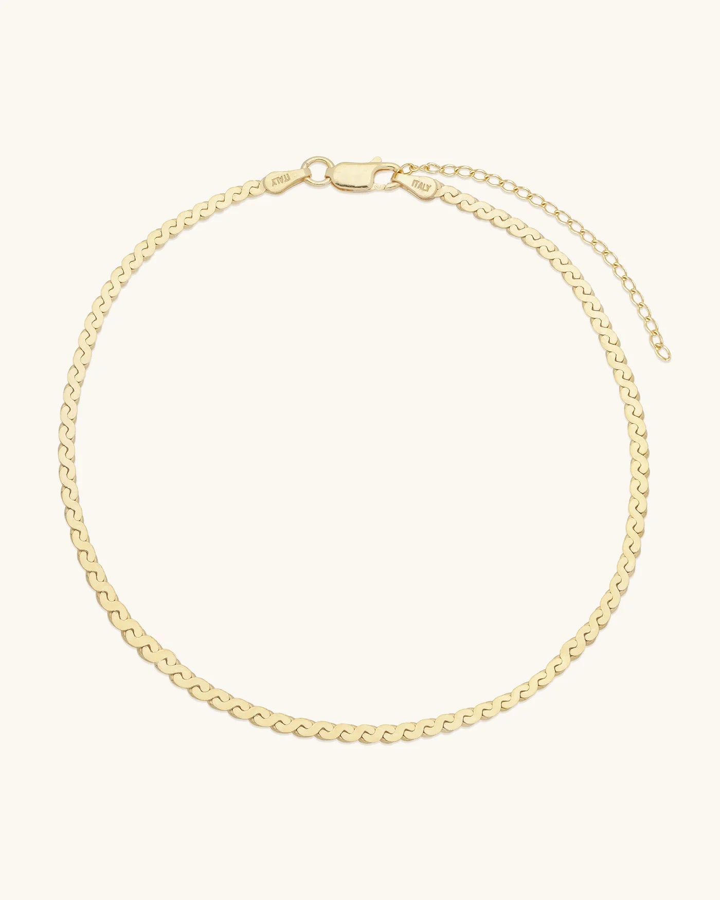 Serpentine Chain Anklet