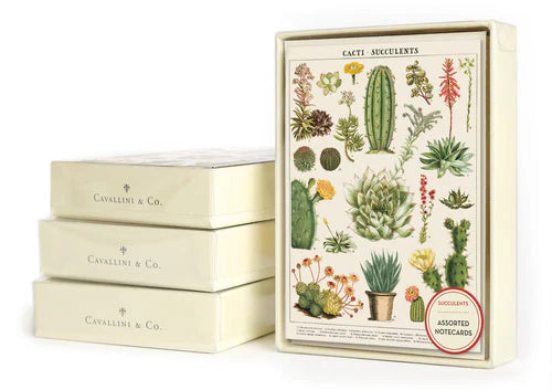 Boxed Notecards | Succulents