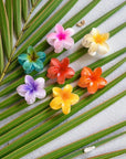 Tropical Flower Hair Claw
