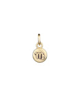 Zodiac Icon Charms