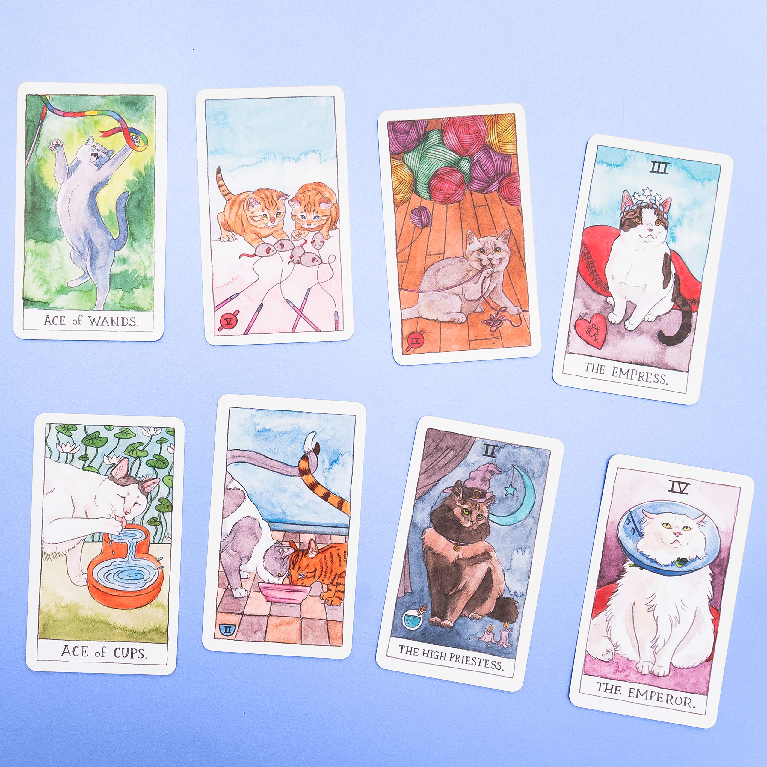 Cat Tarot Deck