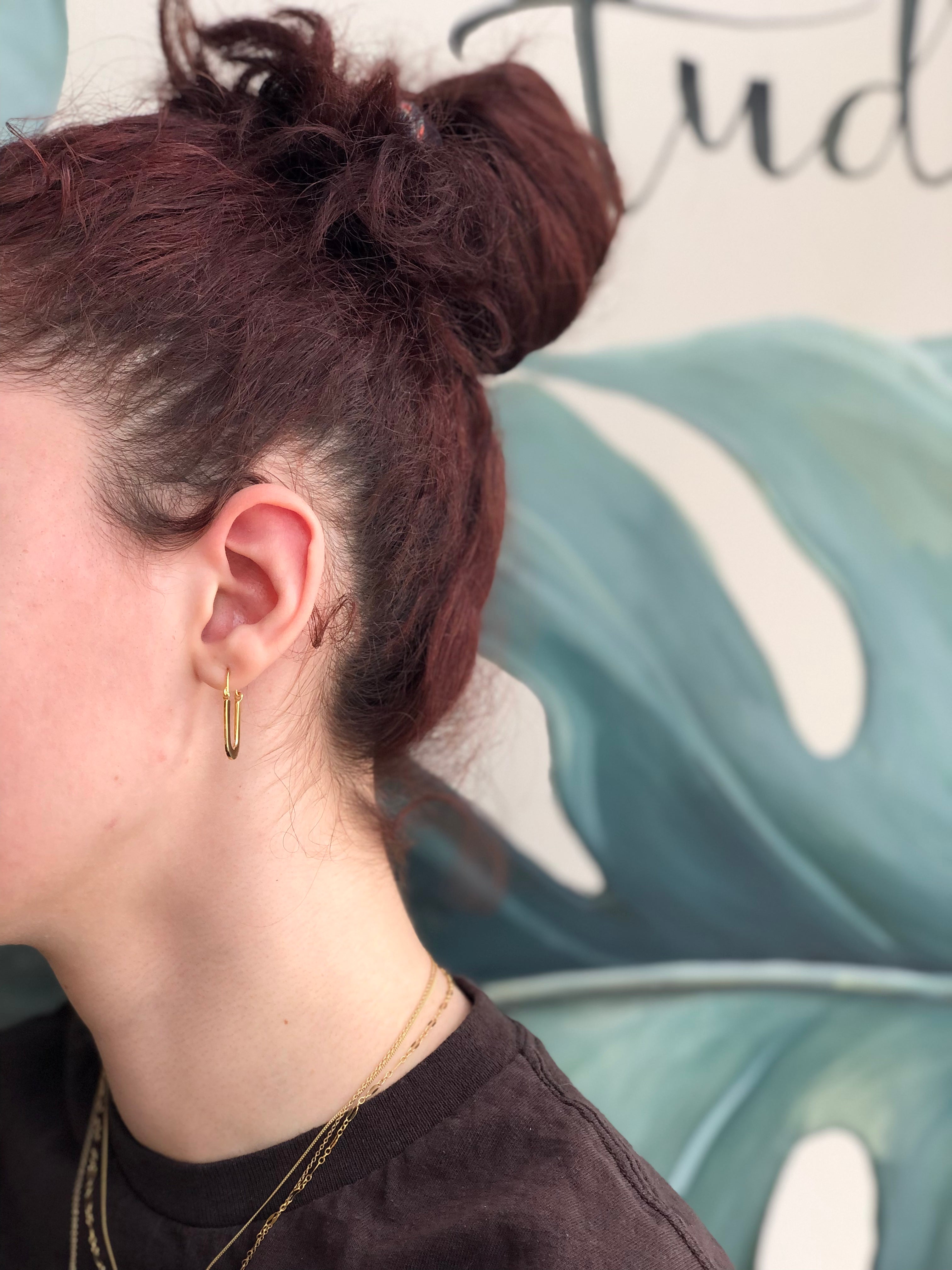 Diana Hoops