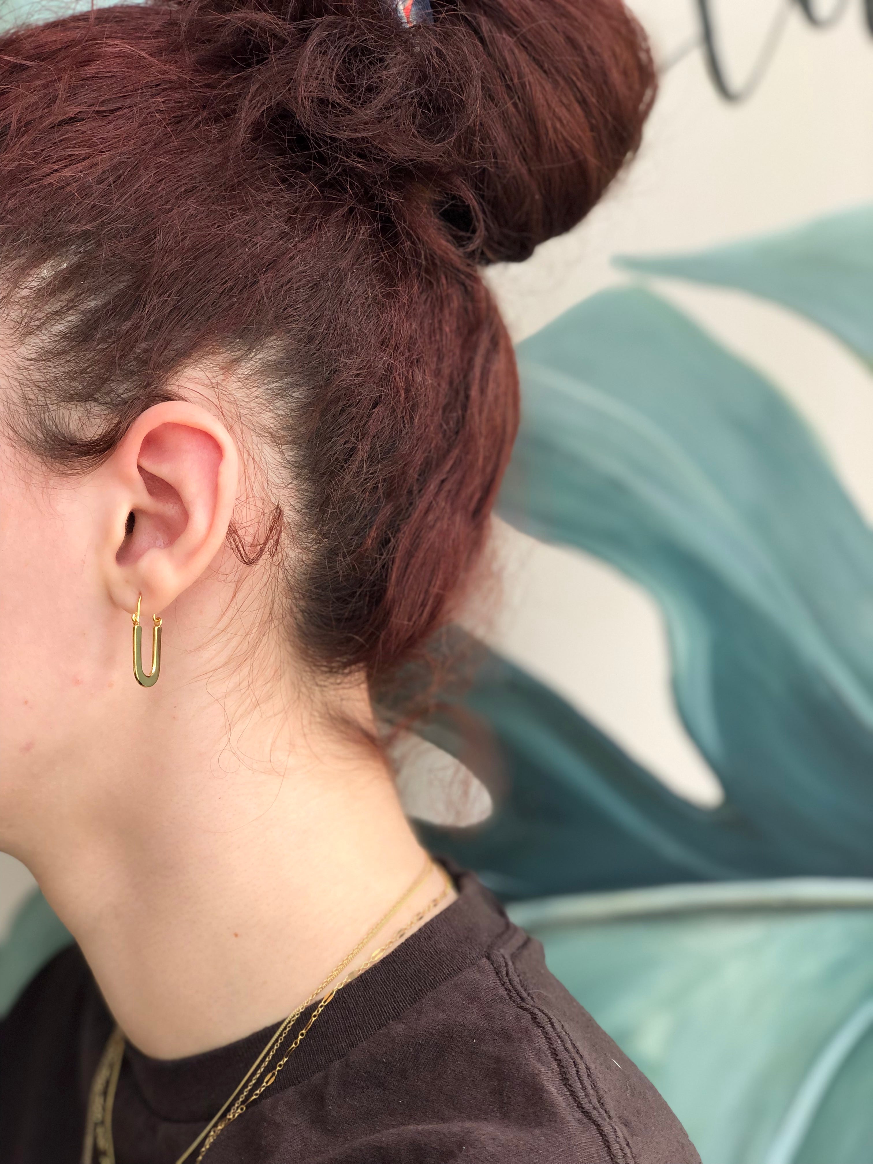 Diana Hoops