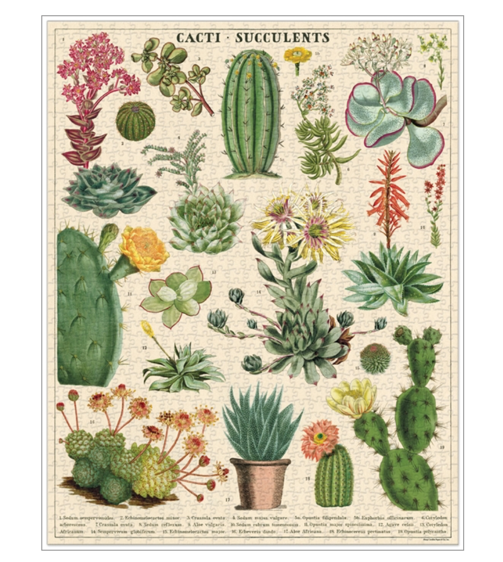 Vintage Puzzle - Cacti &amp; Succulents