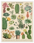 Vintage Puzzle - Cacti & Succulents