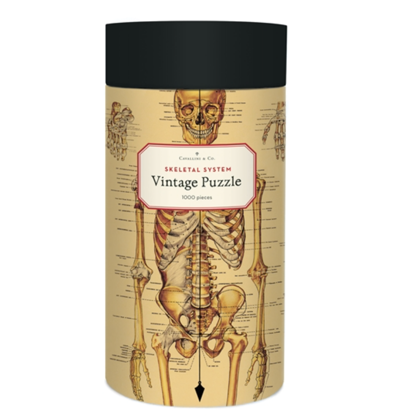 Vintage Puzzle - Skeletal System