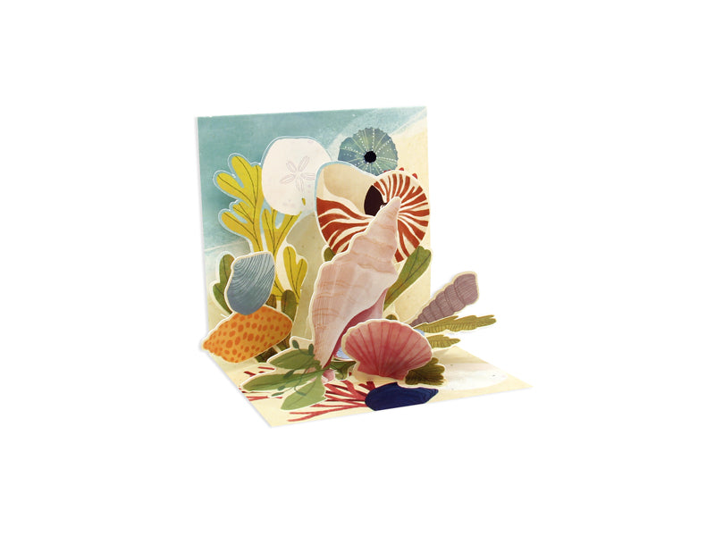 Ocean Shells | Mini Pop-Up Card