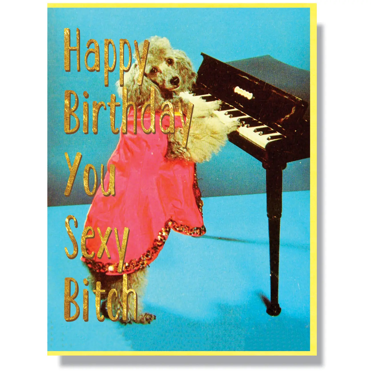 Sexy Bitch Birthday - Greeting Card
