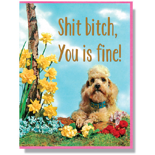 Shit Bitch , You is Fine - Greeting Card